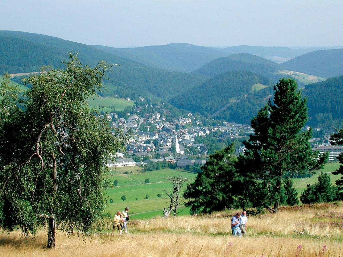 Chalet La Belle Willingen Willingen  Eksteriør bilde